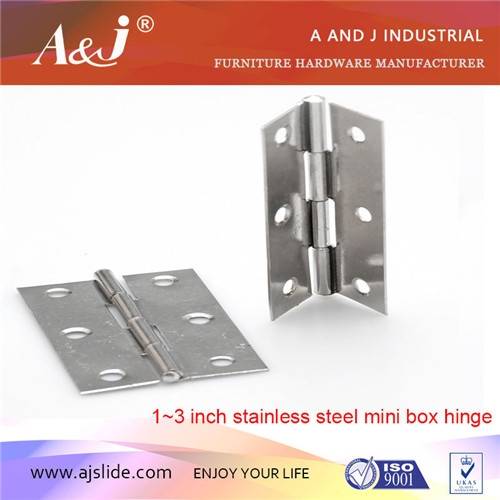 Butterfly Stainless Steel door Hinge