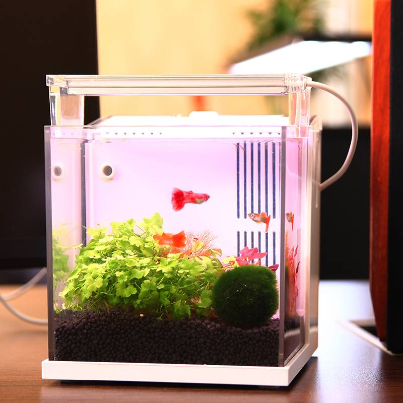 仟锐  BL-150C Tabletop fish tank with back side filtration