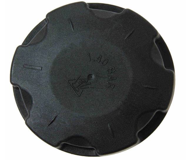 BMW X1 Expansion Tank Cap 17117639020