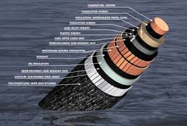 Underwater cables that sustain the internet s early history(图1)