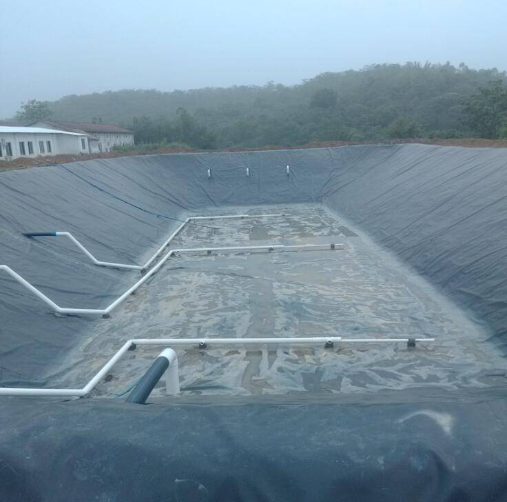 Geomembrane-EG